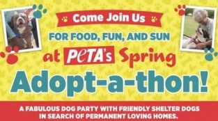 Eat, Drink, and Be Caring at the Spring Adopt-a-Thon