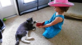 Video: Cat Healing From Infected Wound Finds Best Friend in Little Girl