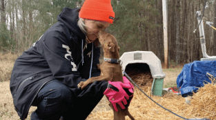 PETA’s Local Work January-March 2025